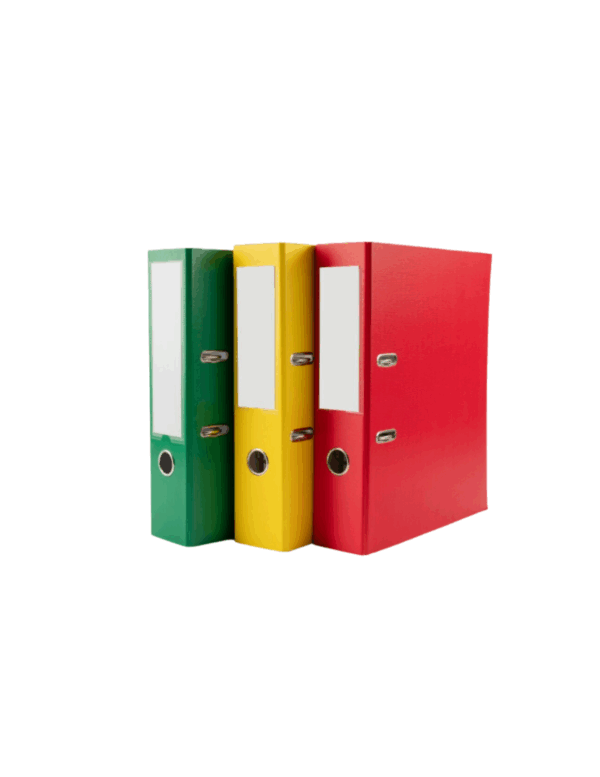 Fringilla Phasellus Faucus Scelerisque Eleifend Donec